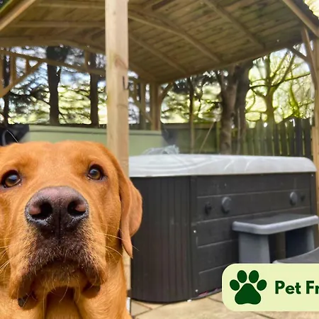 Hot Tub, Pool Table, Log Burner Villa *